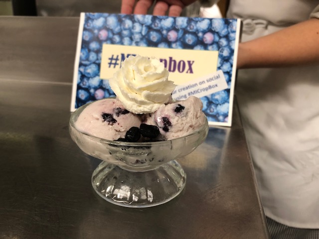 blueberry frozen yogurt pic