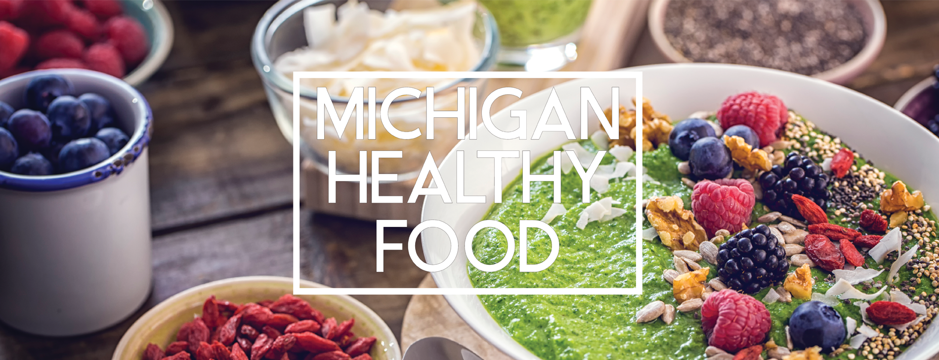Michigan Healthy Food About Us